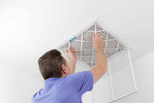 Best Home Air Vent Cleaning  in New Holstein, WI
